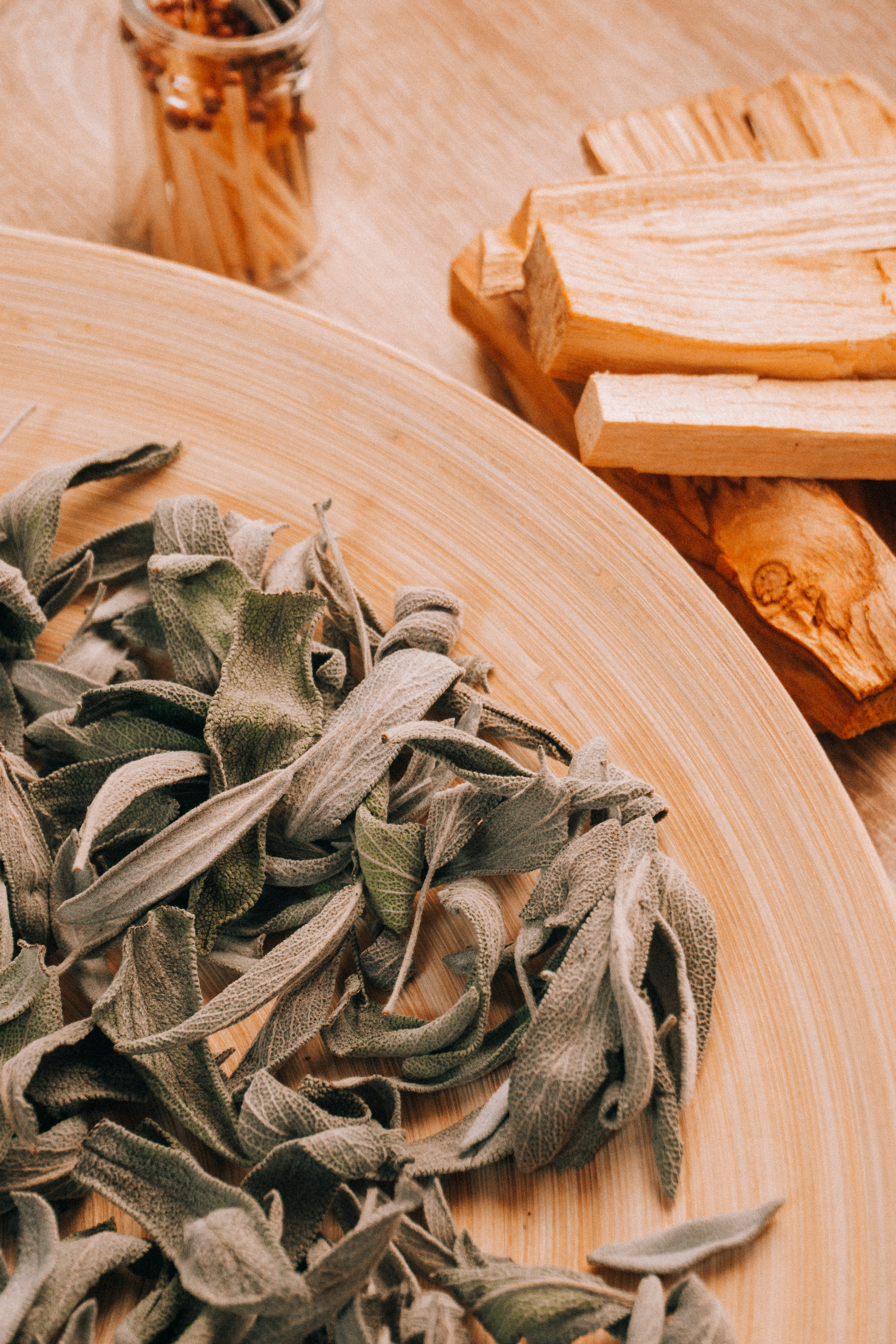 Feuilles fraîches de sauge, plante médicinale aux vertus digestives et antiseptiques.