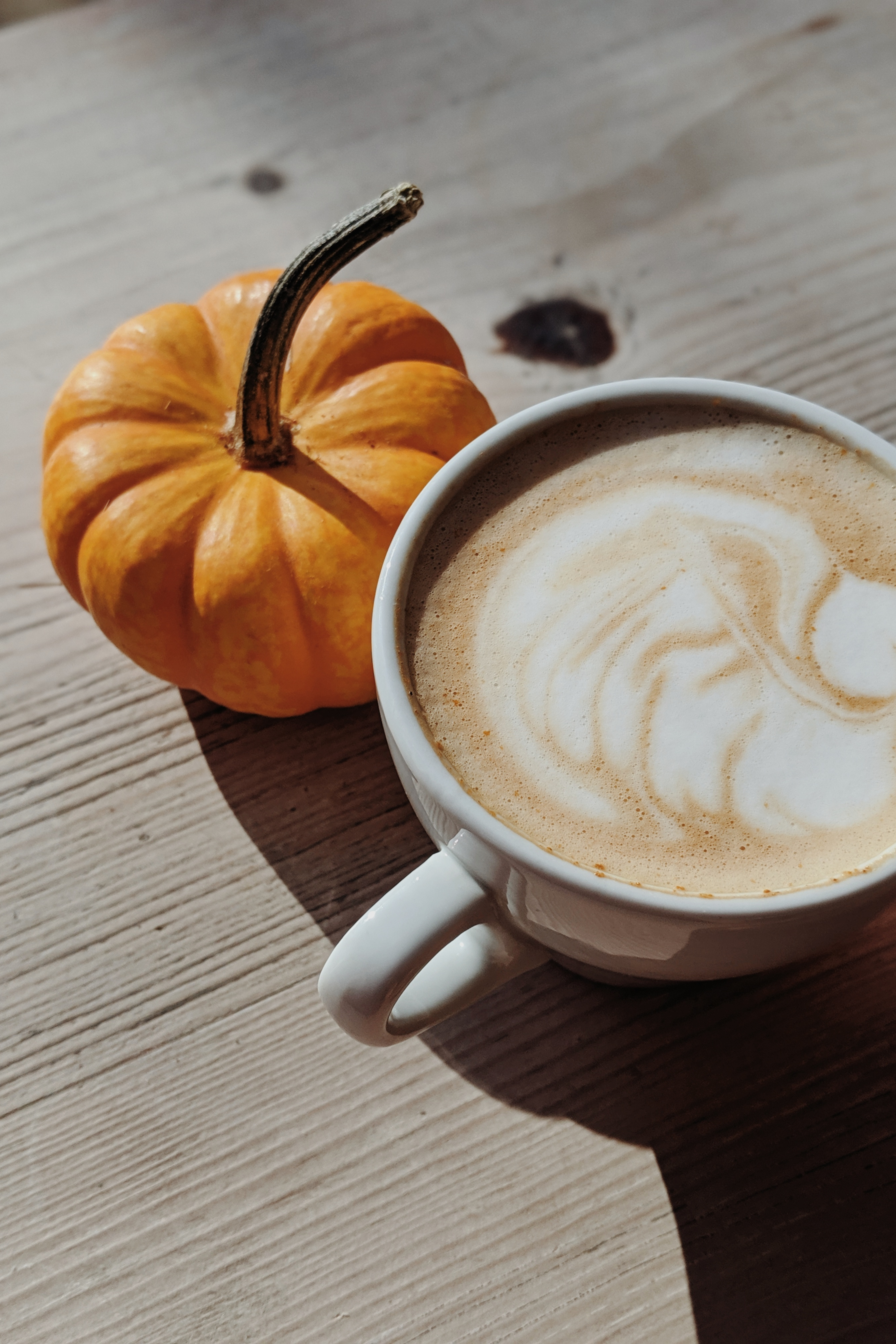 Latte d’Halloween au thé noir épicé décoré avec un bâton de cannelle dans une tasse en céramique